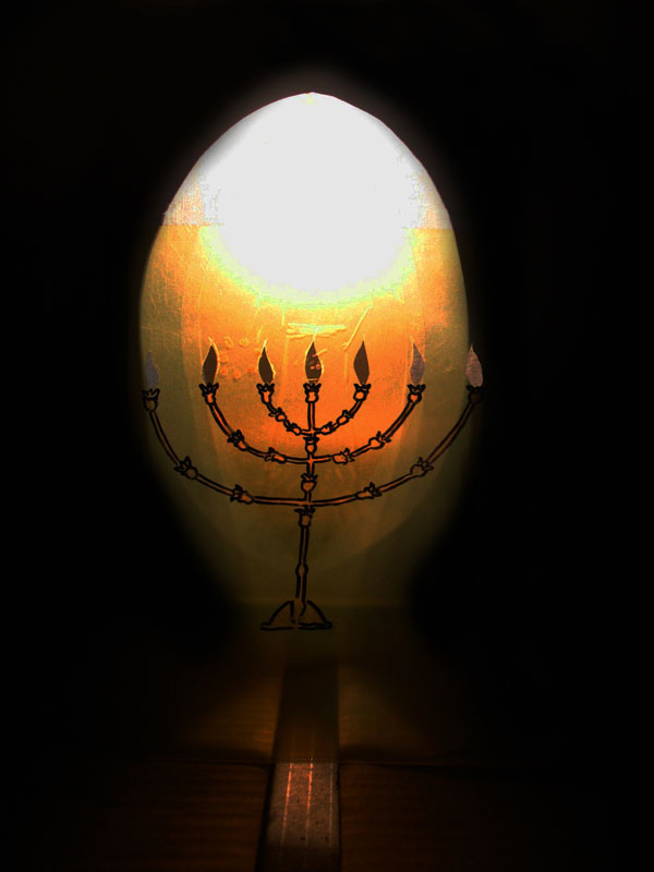 IMG_0012_mitte_dungel2